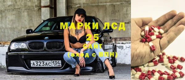 кокс Аркадак