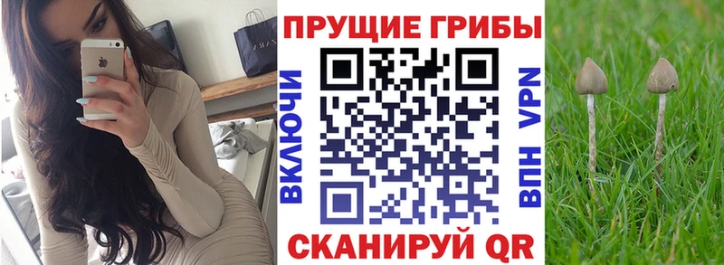 Галлюциногенные грибы MAGIC MUSHROOMS  Купить  Суоярви 
